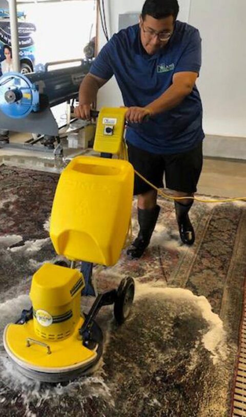 alamo-rug-david-cleaning-480x812